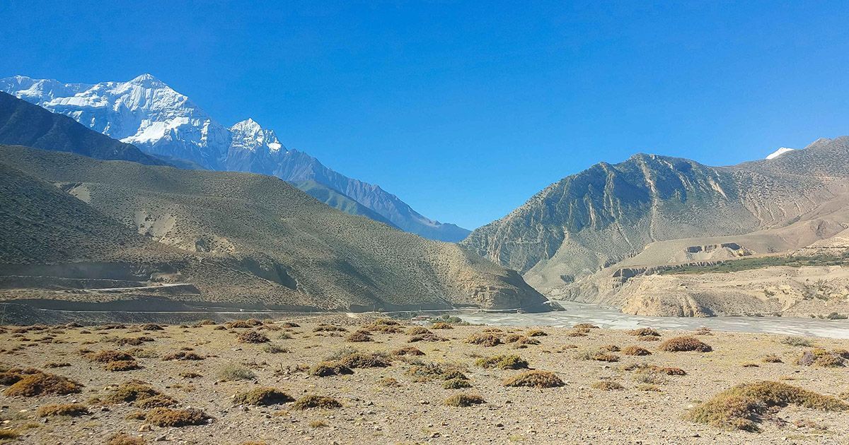 Mardi Himal trek in nepal
