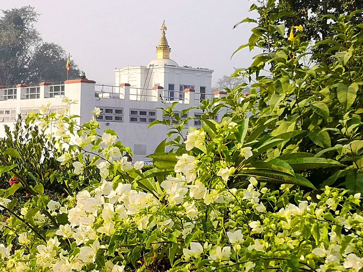 Buddha Birthplace Lumbini