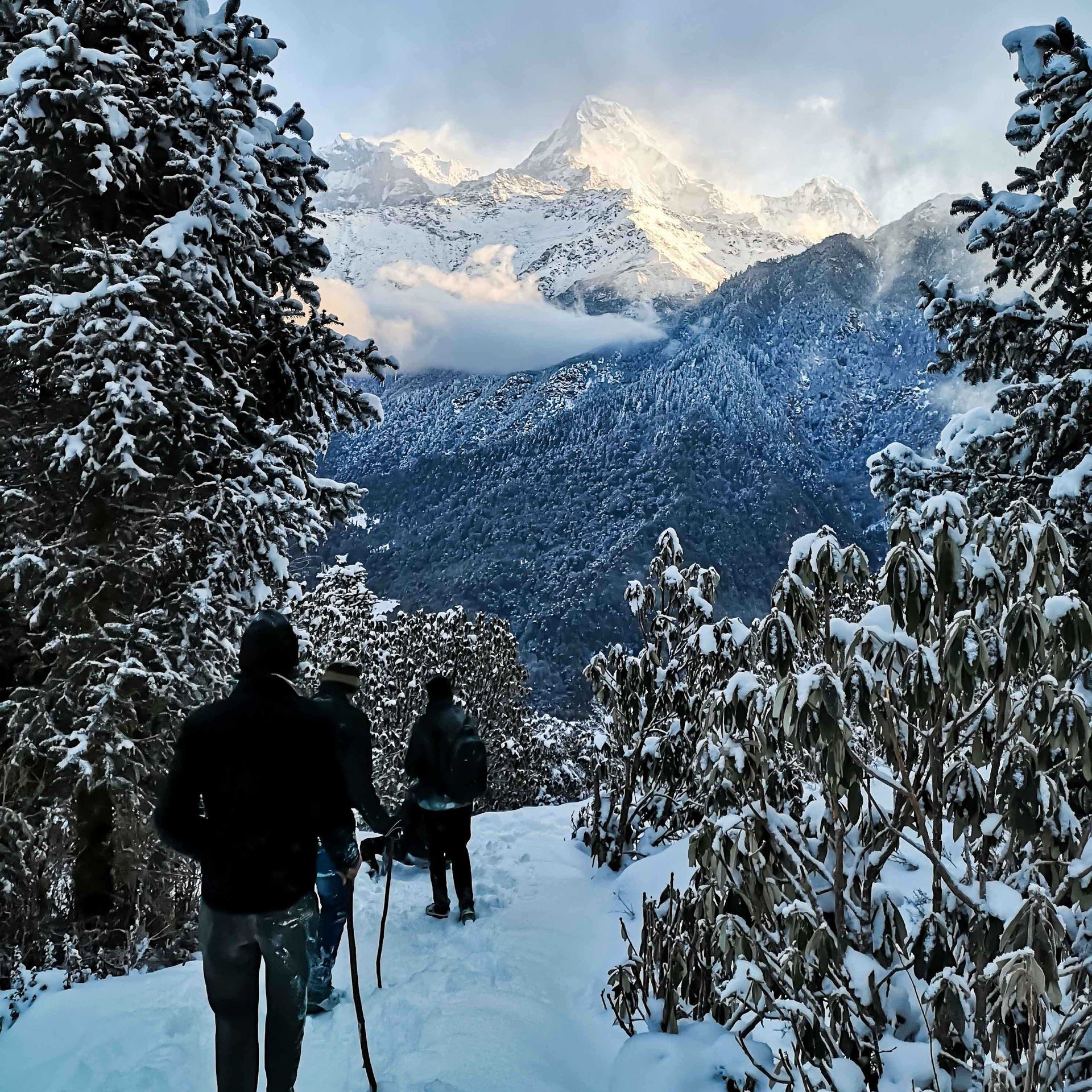 essay on winter season in nepal