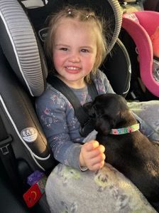 A smiling young child in a car seat holds a small black puppy wearing a colorful patterned collar.