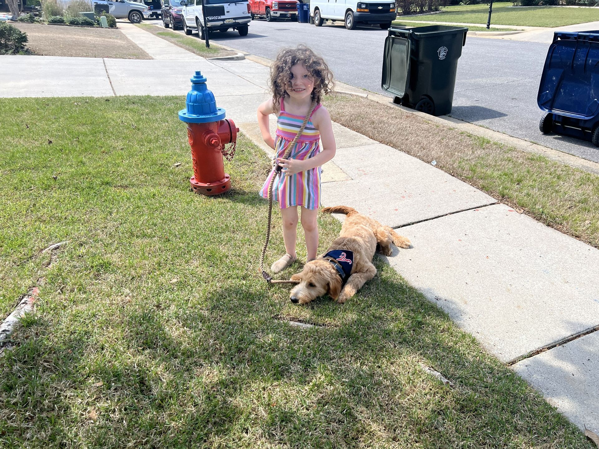 A child in a striped dress holds a leash attached to a golden puppy lying on the grass next to a red fire hydrant.