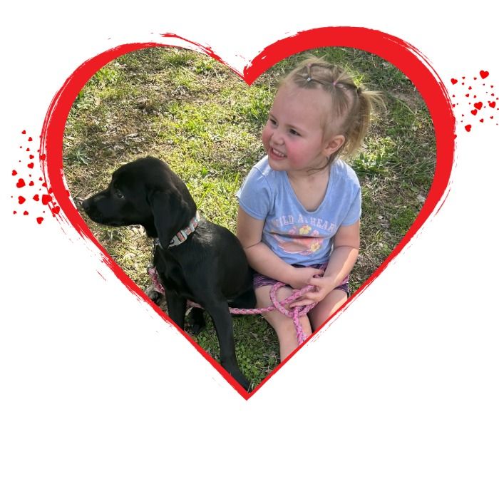 A young child sits on grass next to a black puppy on a pink leash, framed by a red heart border.
