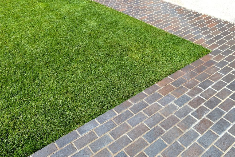 Green Lawn Borders Brick Pathway — Kalora Carpentry & Restorations in Charlestown, NSW