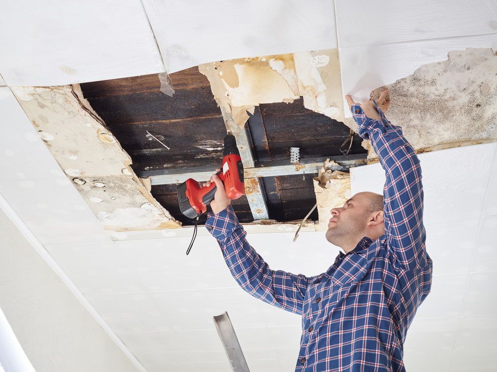 Man With Red Drill Repairing Damaged Ceiling; Interior Shot — Kalora Carpentry & Restorations in Charlestown, NSW