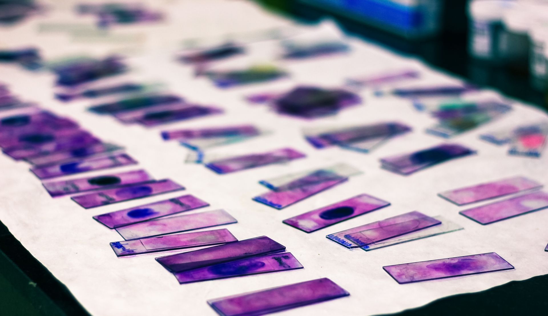 A bunch of purple slides are sitting on a table.