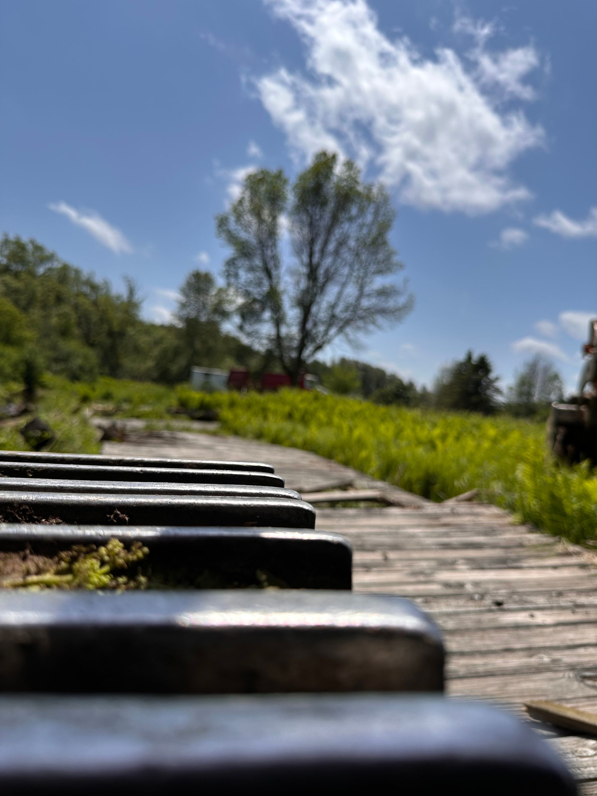 A close-up view of dark metal tracks leading toward a grassy field with a large tree under a bright, cloudy blue sky.
