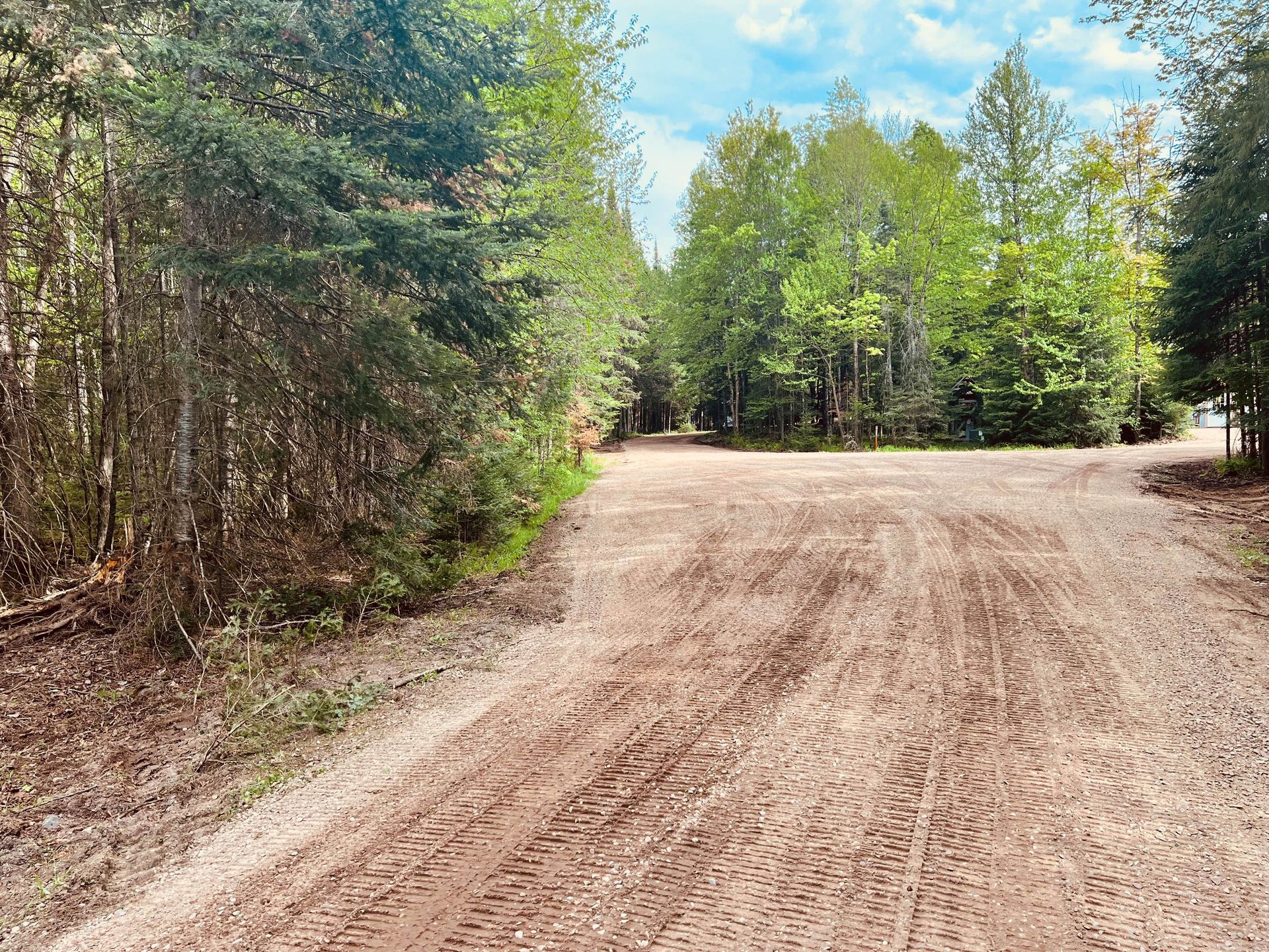 A dirt road leads through a lush, green forest under a partly cloudy sky. A dirt road leads through a lush, green forest under a partly cloudy sky.