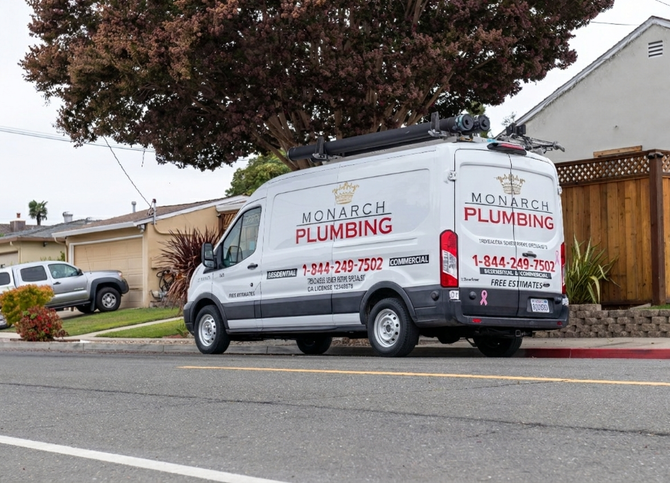 White plumbing service van parked on a street beside a house and large tree
