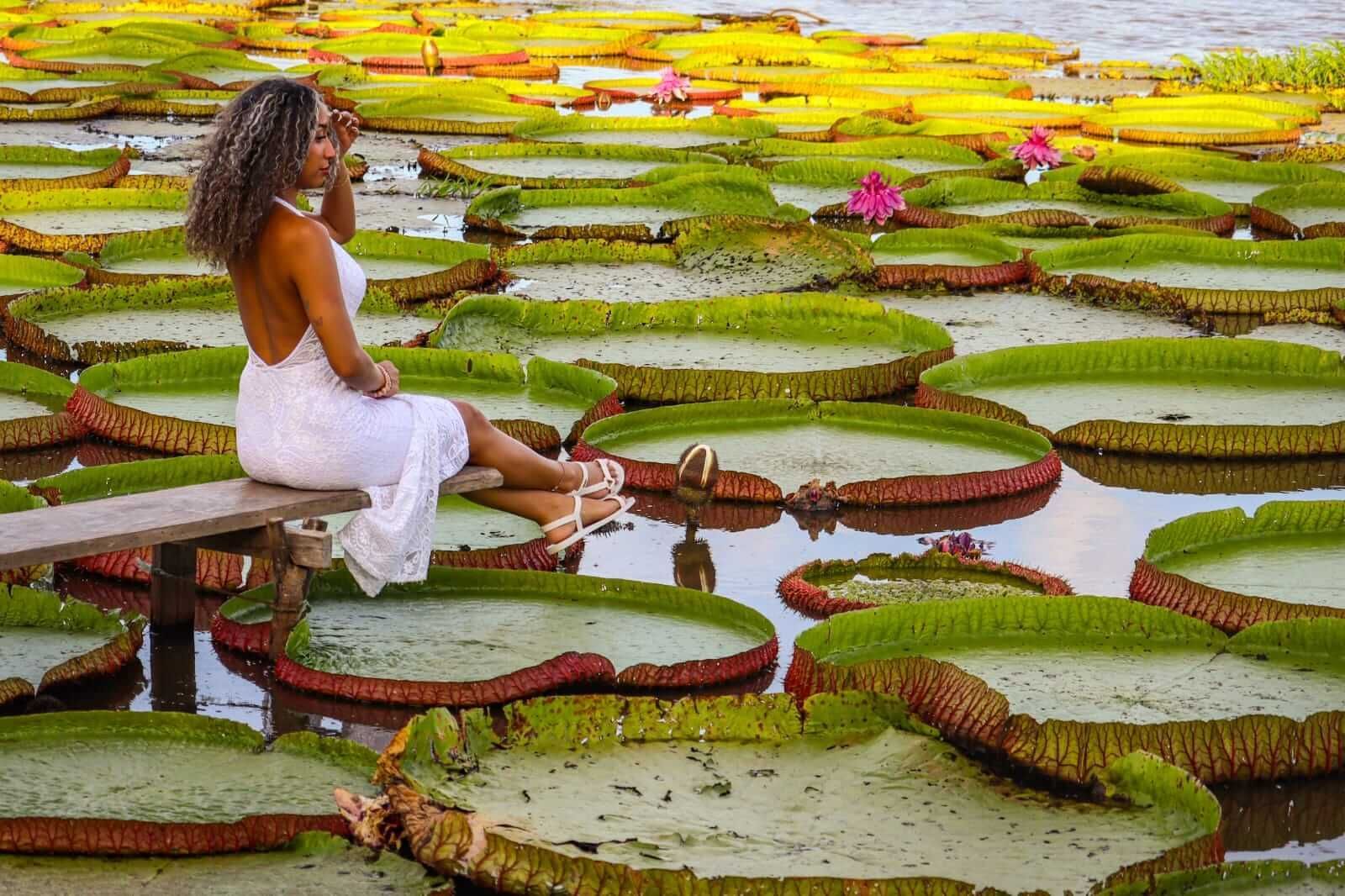 Woman in white dress sits on a bench, gazing at giant water lilies.