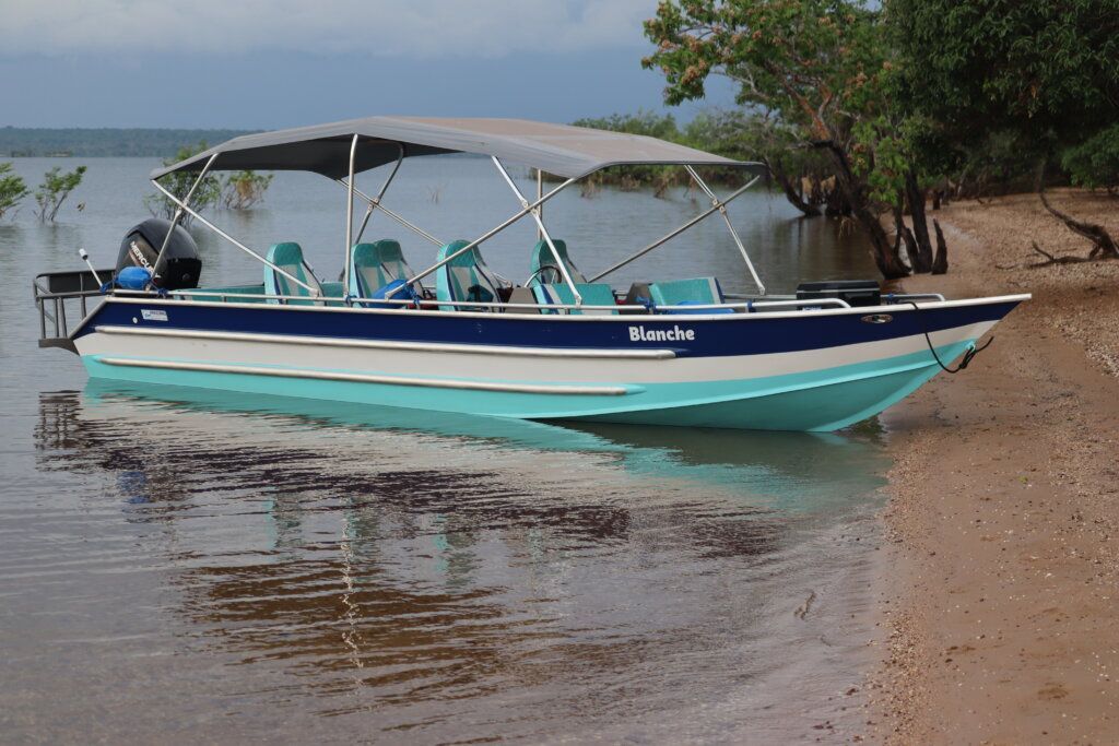 Boat with blue and white hull, canopy, and chairs near a sandy shore.