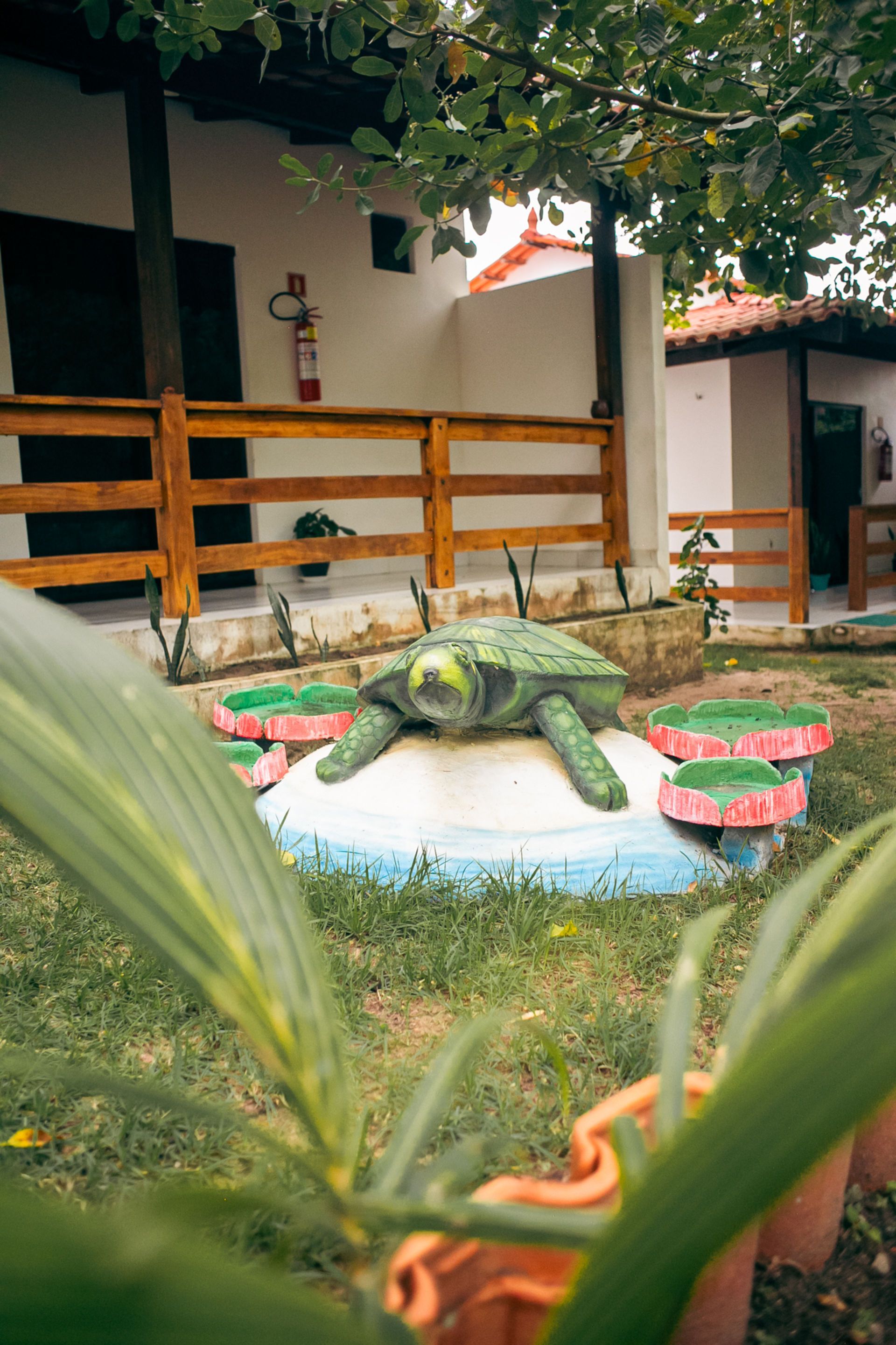 Green turtle statue on a blue and green base, in front of a white building with a wooden fence.