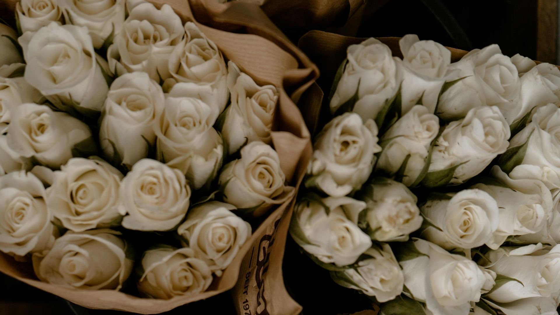 Monochromatic Bouquets Monochromatic Bouquets