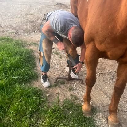 A man is shoeing a horse 's hoof in a field.