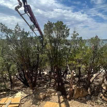 A crane is lifting a tree in the middle of a forest.