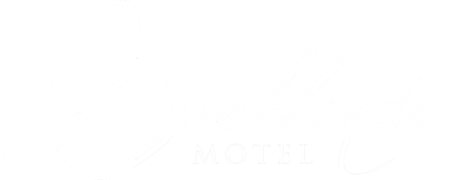 Accommodation in Wandoan - Bushlander Motel