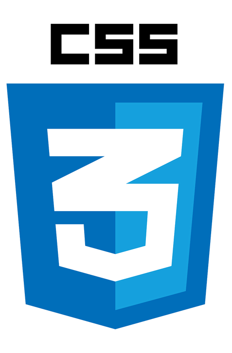 A blue shield with css written on it