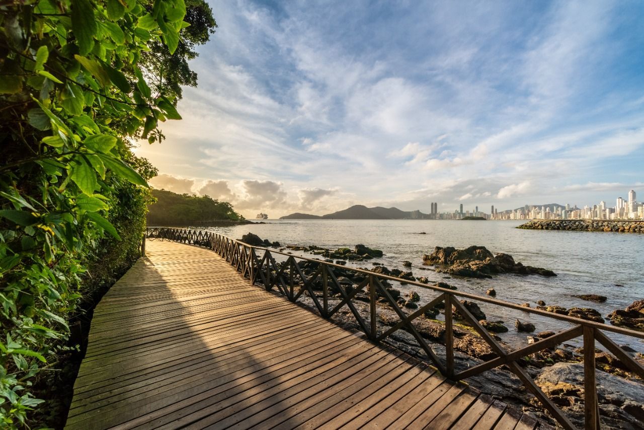 Passarela de madeira entre a vegetação e o mar, com vista para a orla de BC