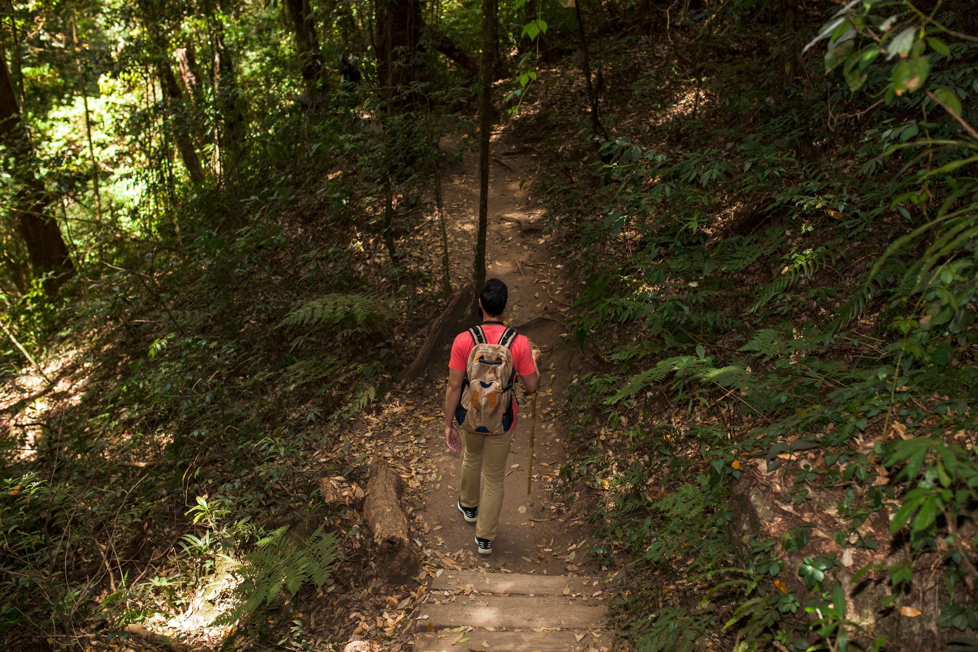 Pessoa caminhando por trilha em meio à Mata Atlântica, explorando a natureza
