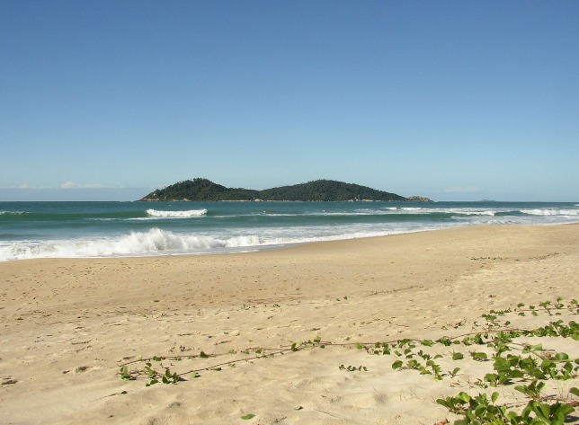 Vista da Praia do Campeche com faixa de areia extensa e mar azul, em Florianópolis.