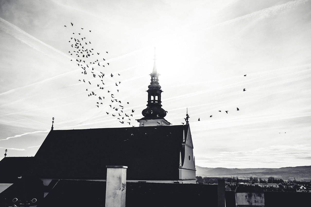 Pássaros sobrevoando igreja ao entardecer.