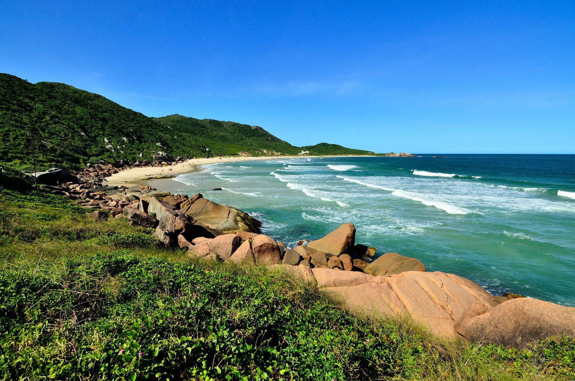 Praia em Florianópolis com mar azul, pedras e vegetação.