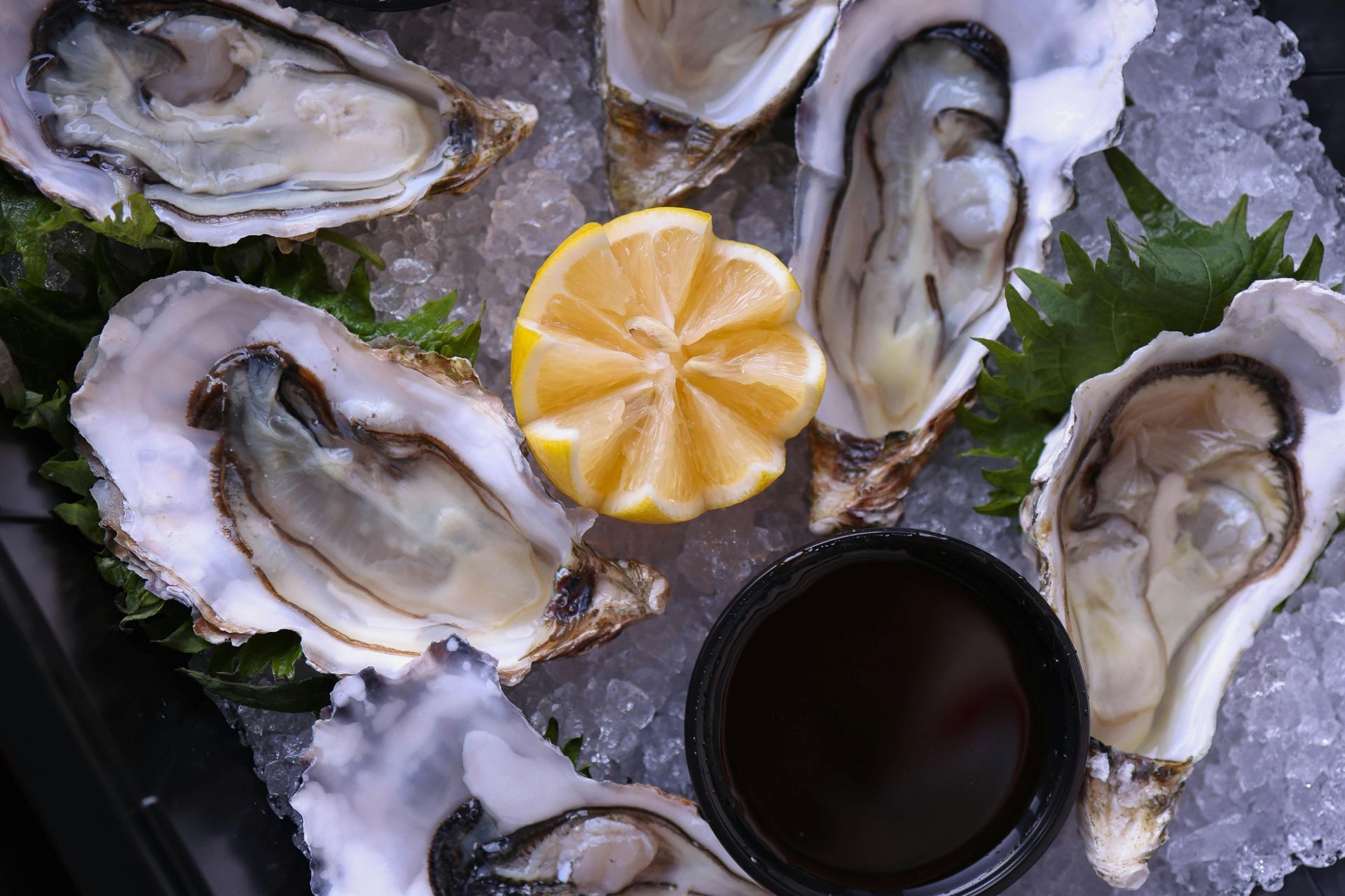 Ostras frescas servidas sobre gelo com limão cortado ao centro e molho.