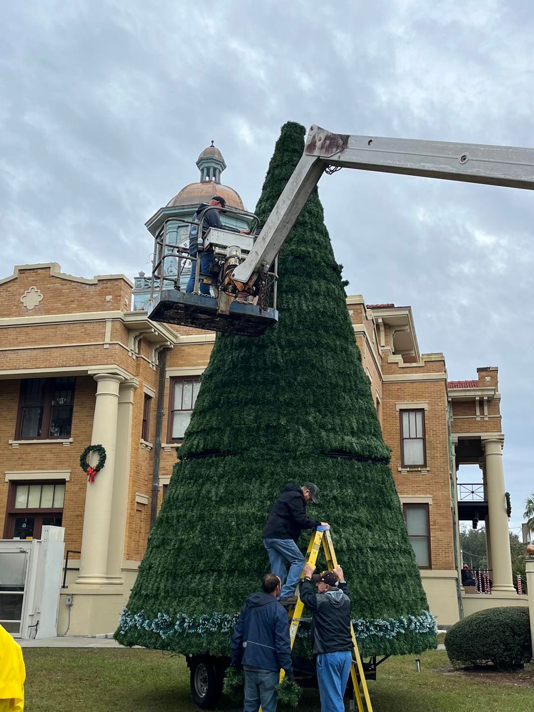 A group of people are working on a christmas tree in front of a building.