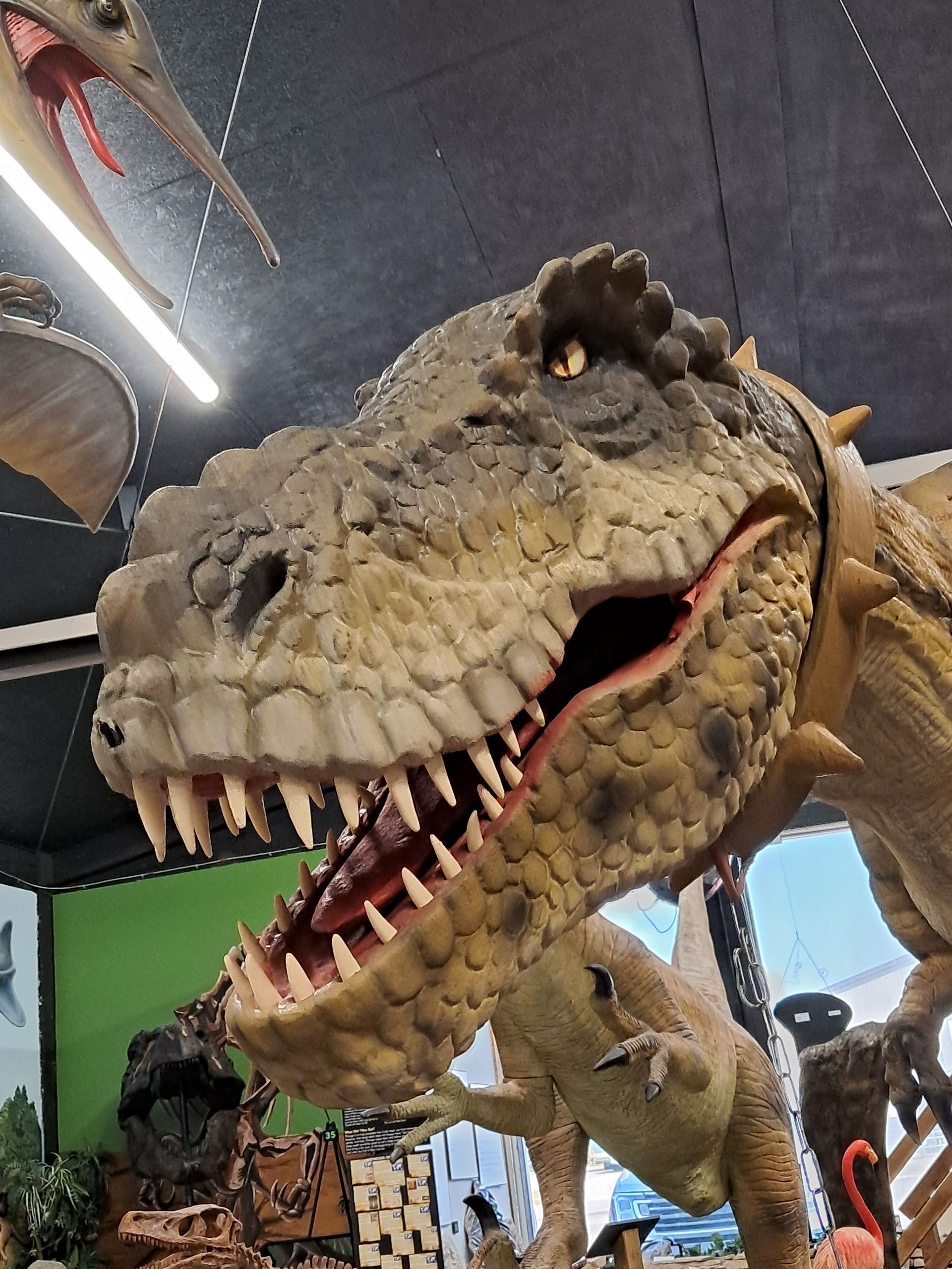 A close up of a dinosaur statue with its mouth open