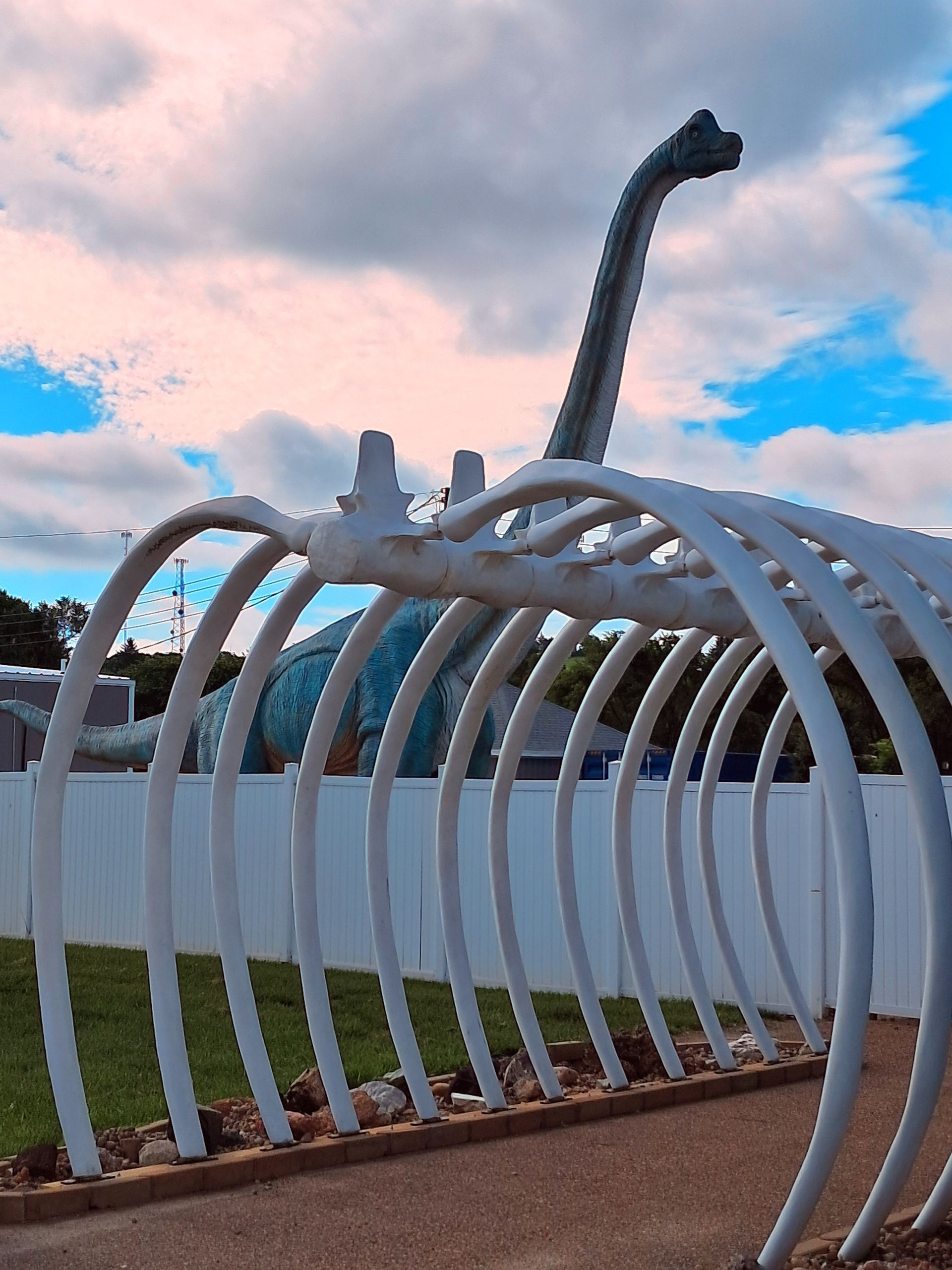 A skeleton of a dinosaur is displayed at Boneyard Creation Museum