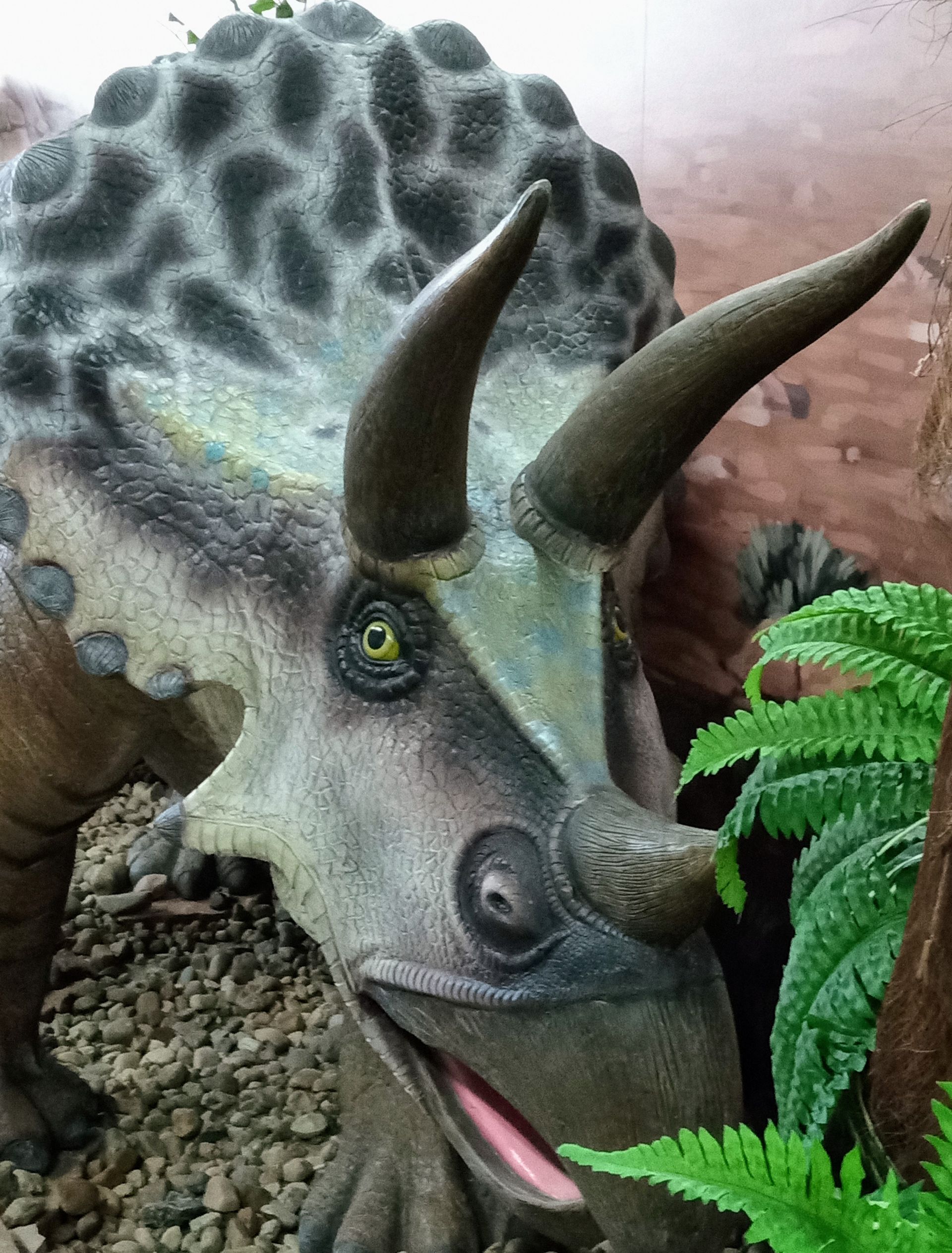 A close up of a triceratops statue with its mouth open