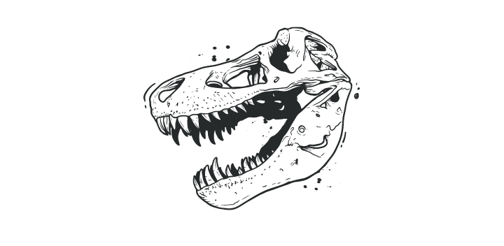 A black and white drawing of a dinosaur skull with its mouth open.