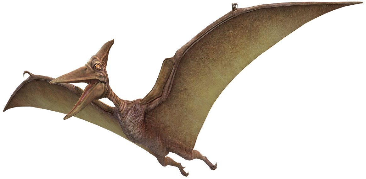 A pterodactyl is flying in the air on a white background.