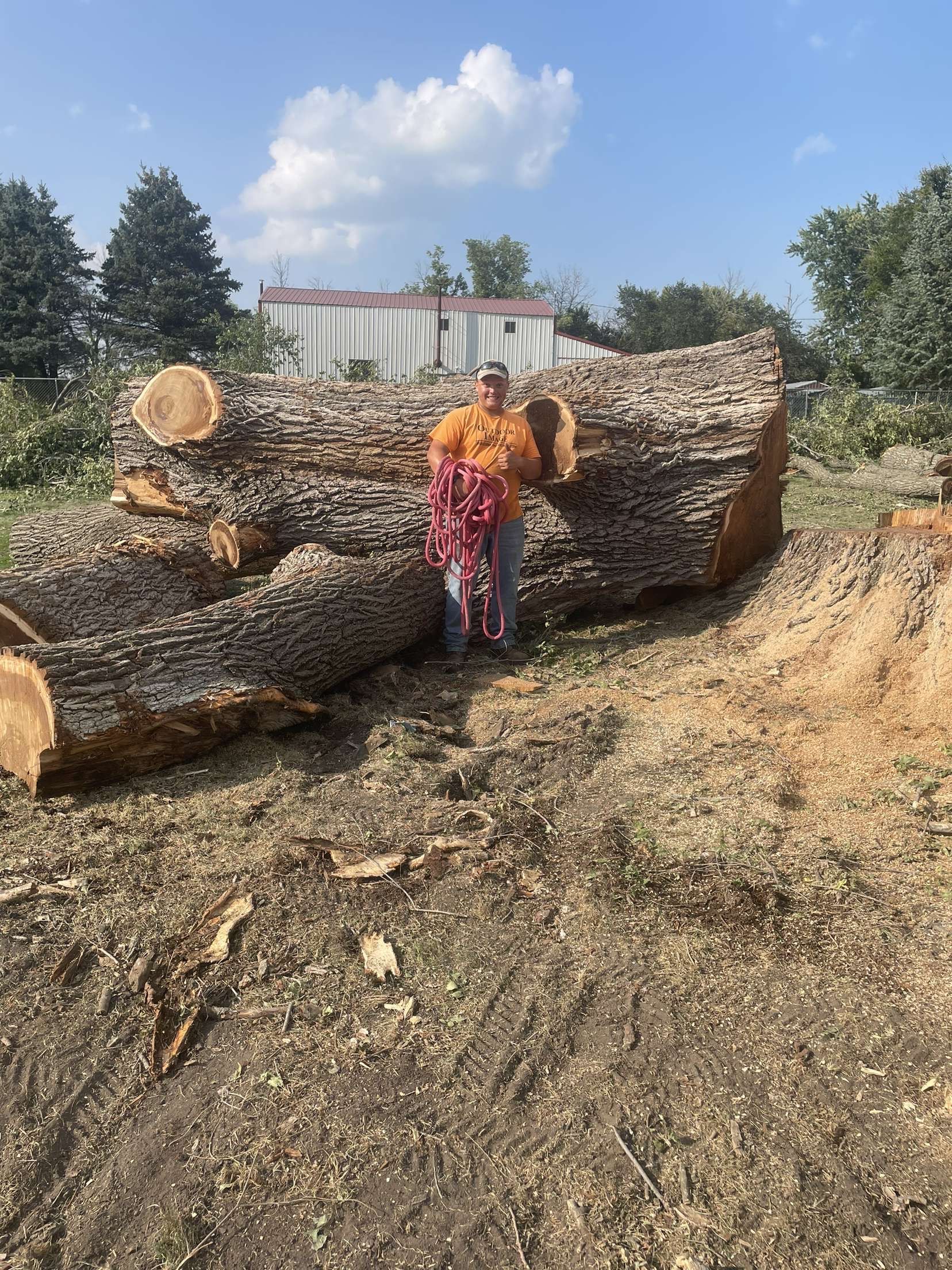 Two people standing beside huge cut logs in a dry field under a blue sky