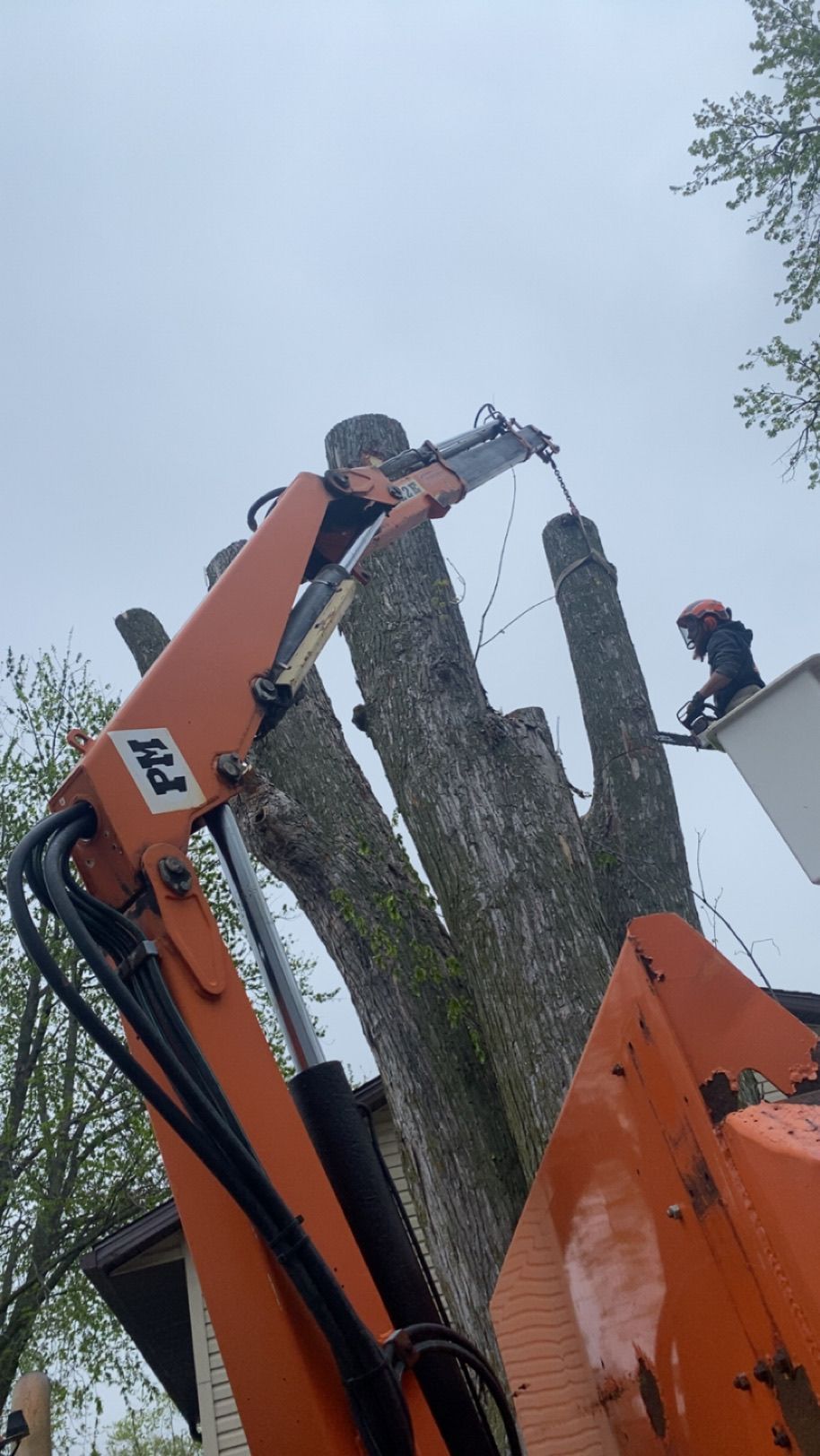 Worker using orange excavator to lift a tree trunk while another person stands nearby outdoors