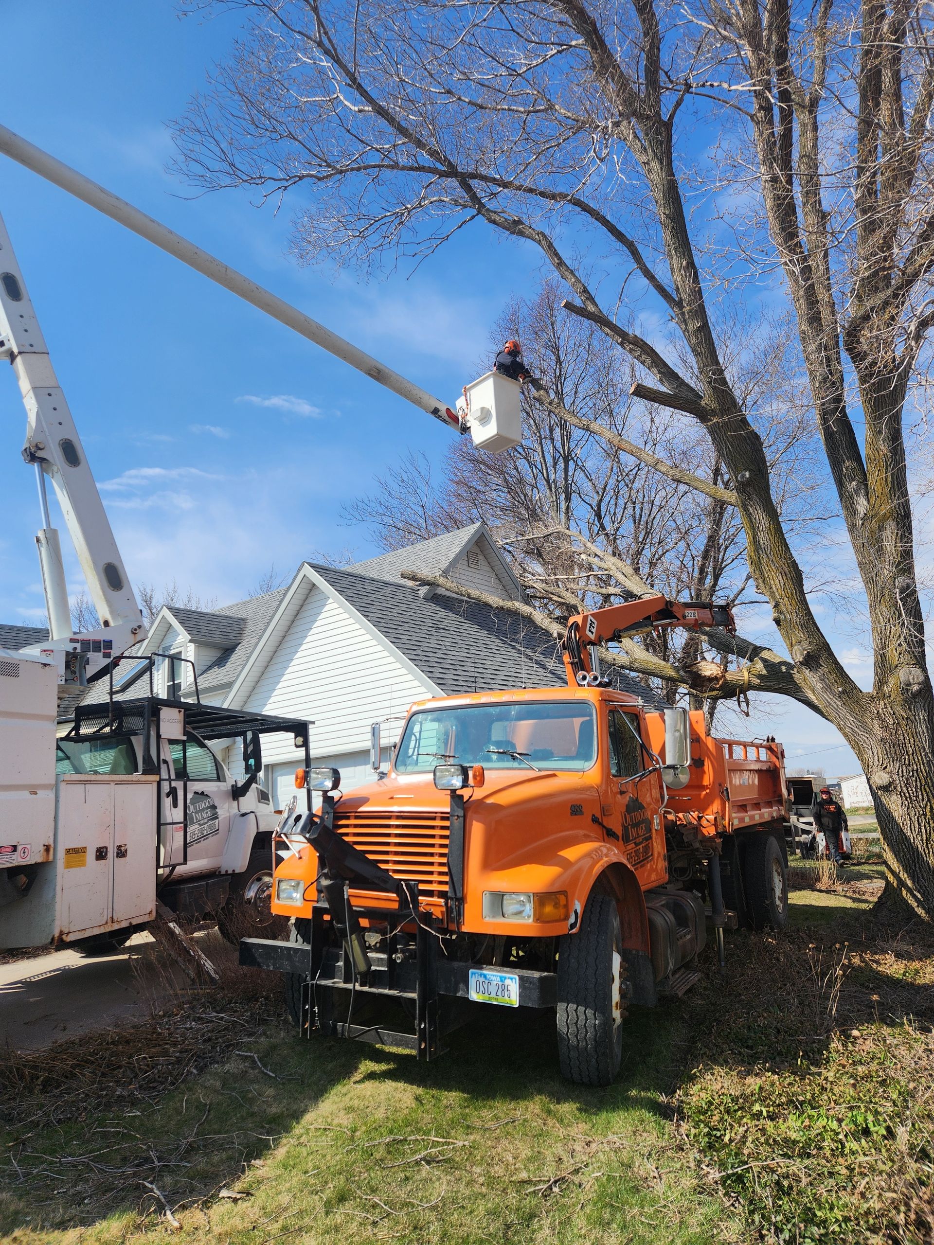 Orange utility truck and bucket lift beside a house, trimming tree branches on a sunny day