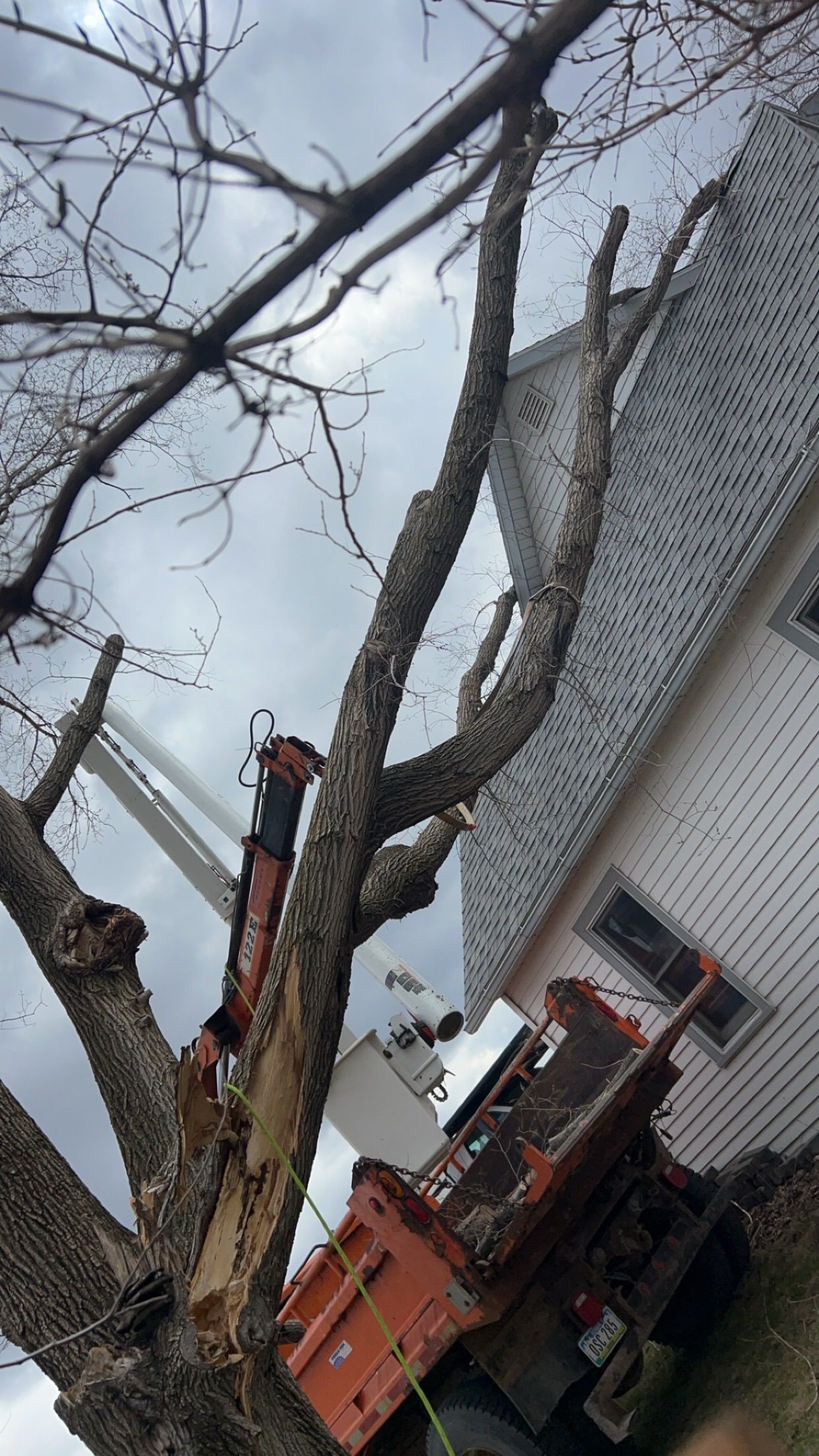 Orange lift trimming tree branches beside a white house on a cloudy day