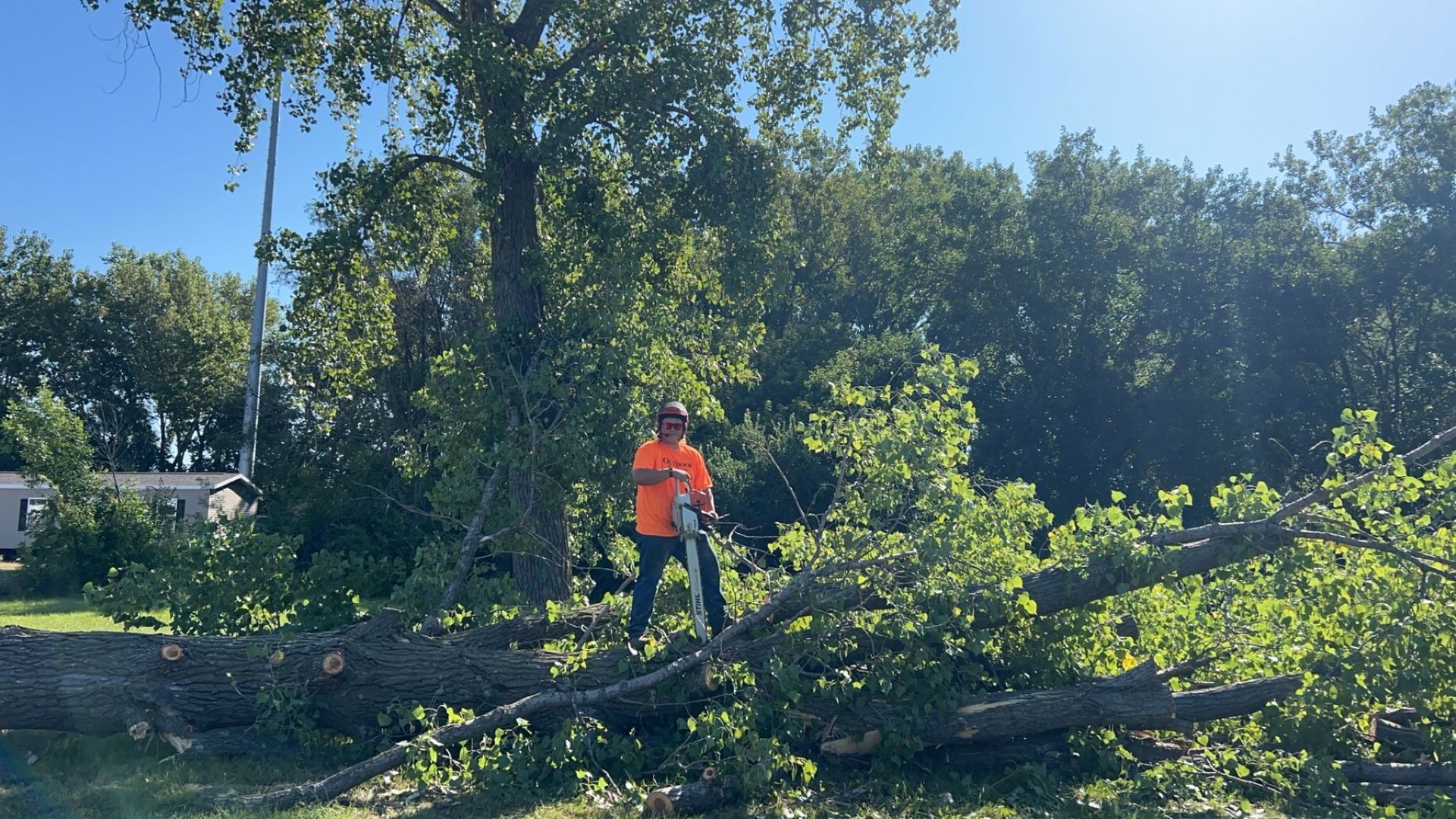 Worker in orange safety vest clearing brush in a sunny wooded area