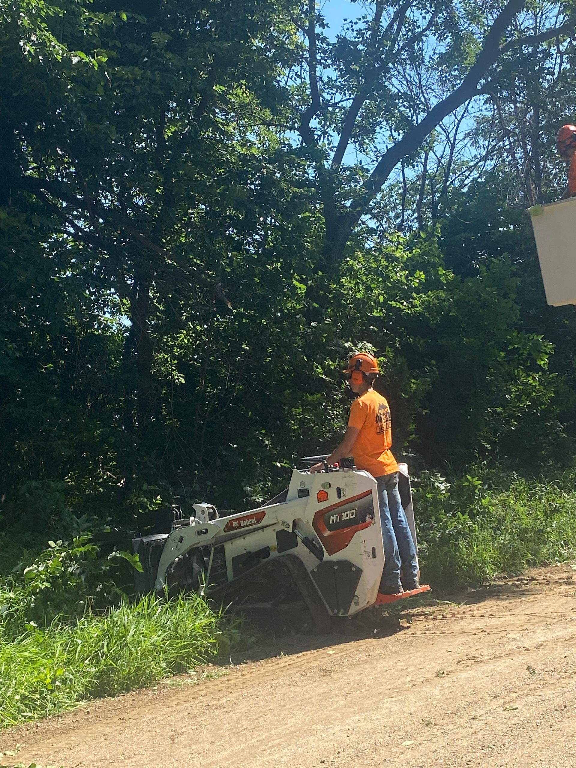 Person in orange safety gear standing by a white utility vehicle on a dirt road in a wooded area
