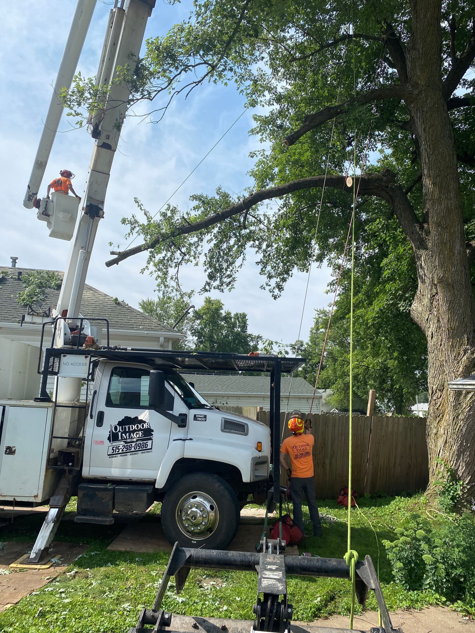 Utility truck with bucket lift trimming trees beside a fence, with workers and a person in orange vest nearby