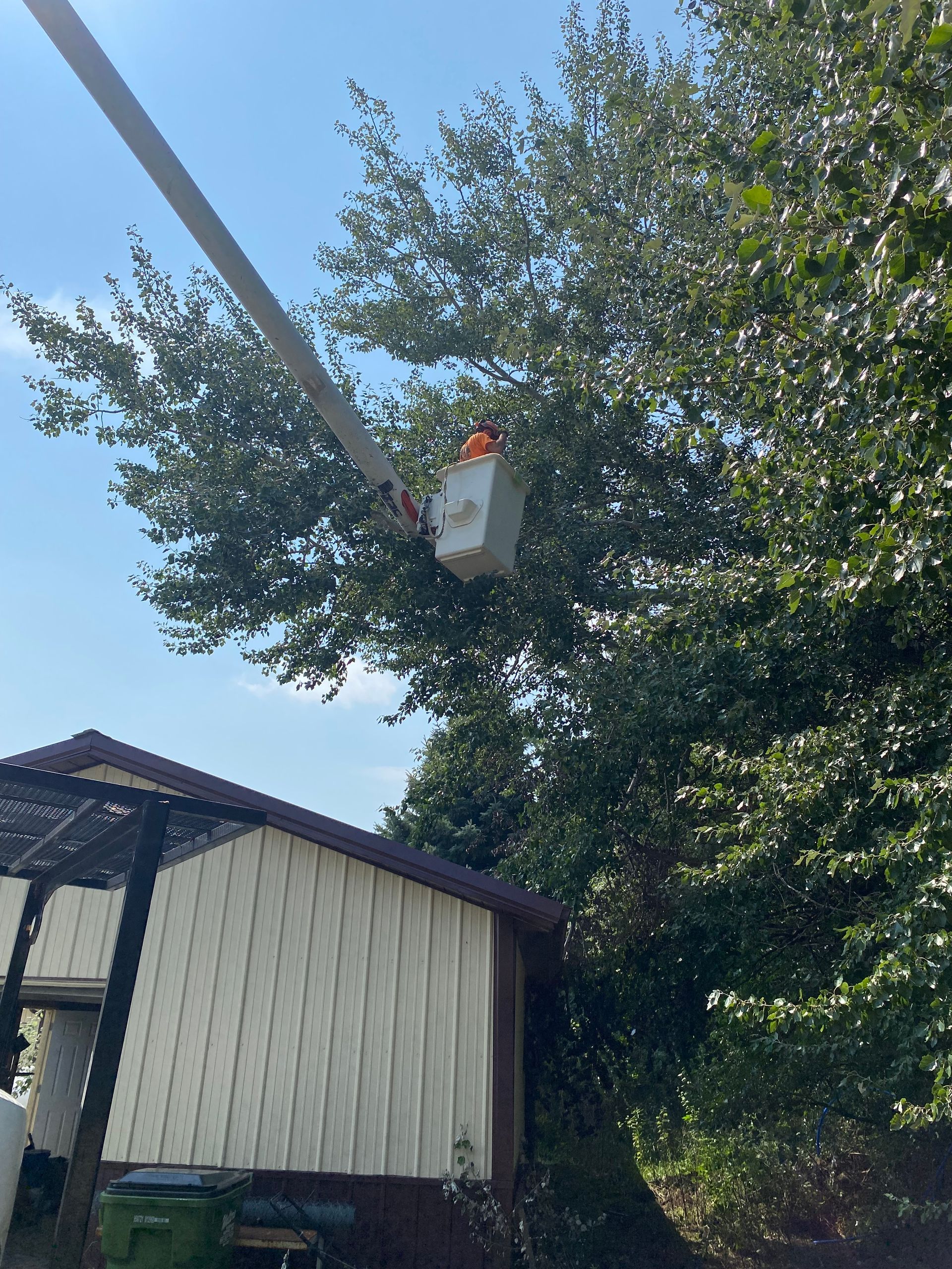 Bucket truck lift beside a house, reaching into a tree under a clear sky.