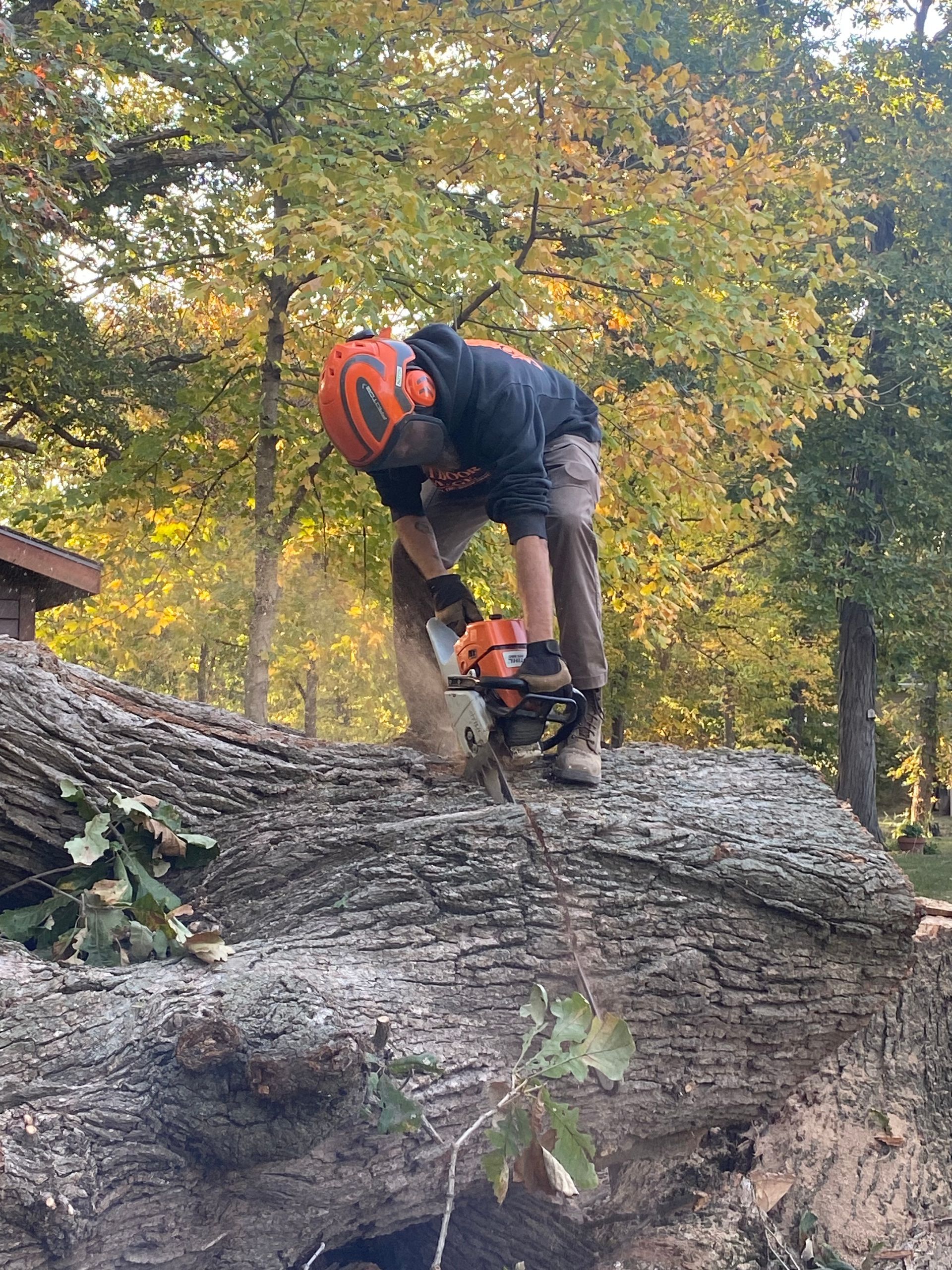 Mountain biker in orange helmet riding over a large fallen log in a wooded area.