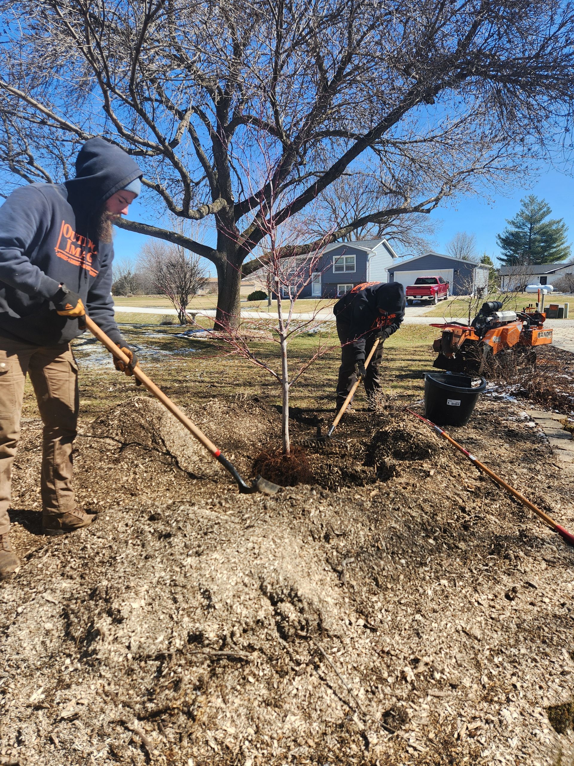 People raking and digging around a tree in a yard on a sunny day