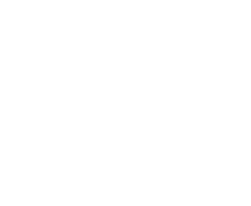 Blank white image