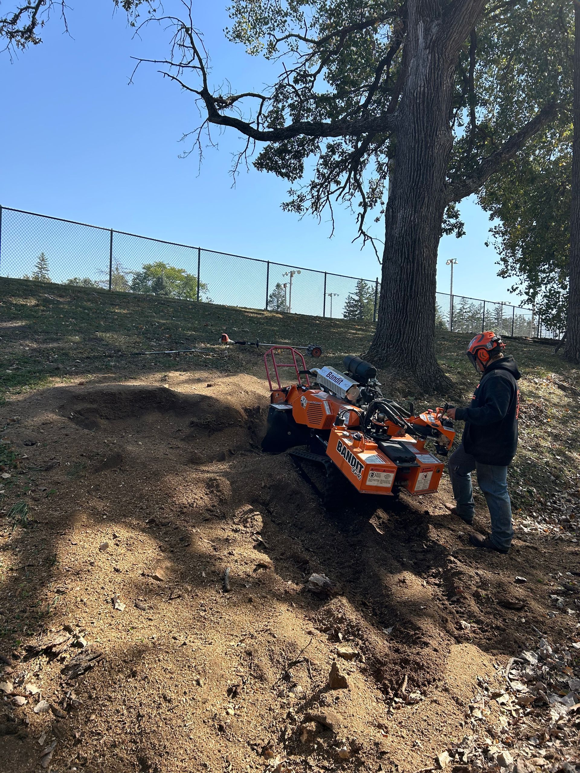 Worker standing beside orange ATV under a large tree on a wooded slope