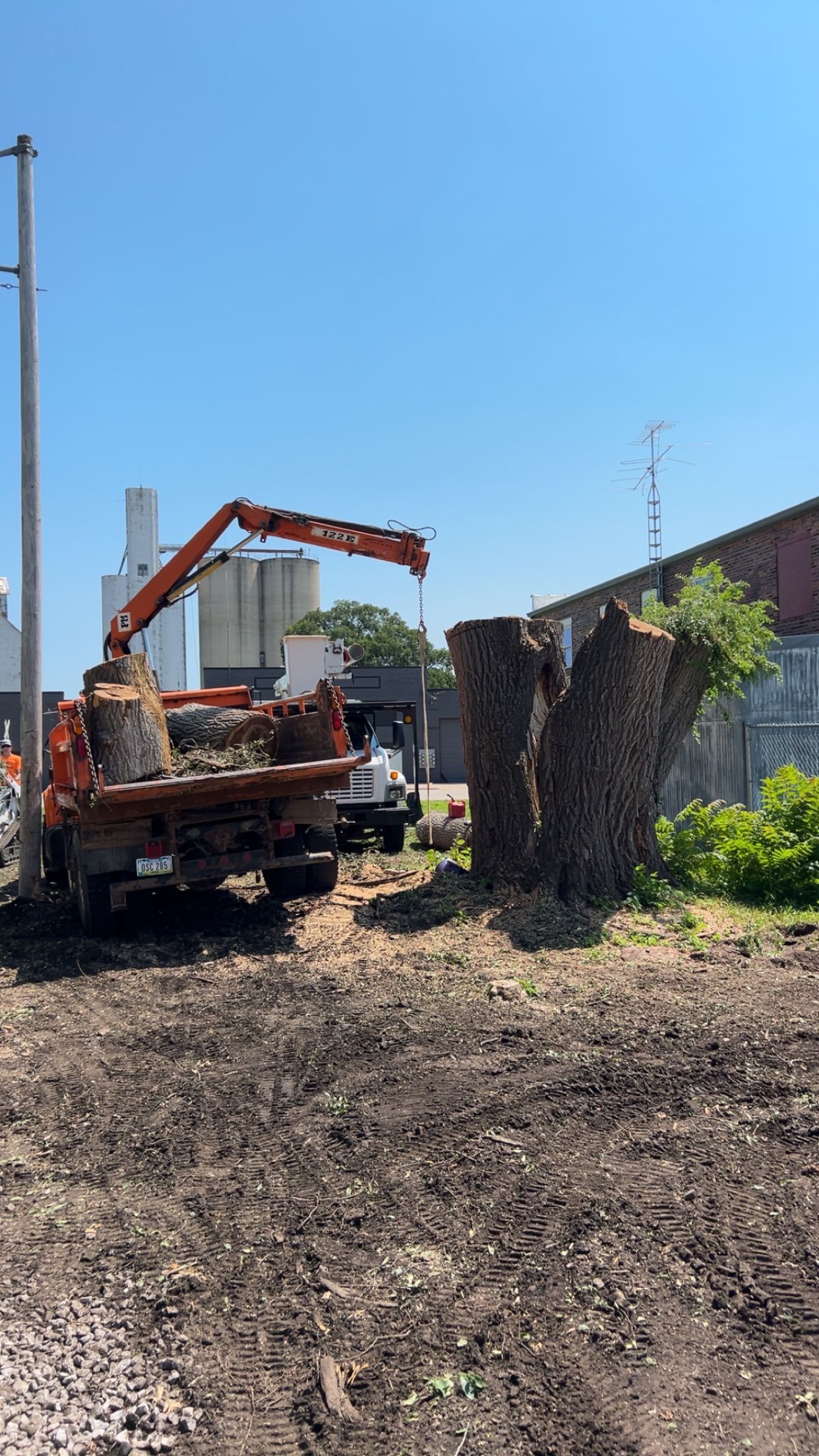 Excavator loading debris beside a tall tree stump on a sunny construction site