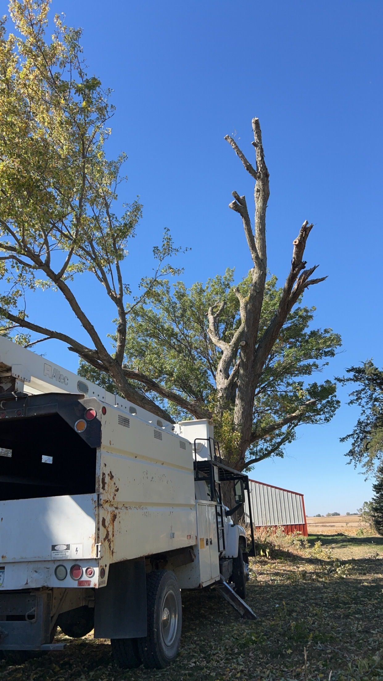 Tree-trimming truck lifting a large cut tree beside a roadside under a clear blue sky