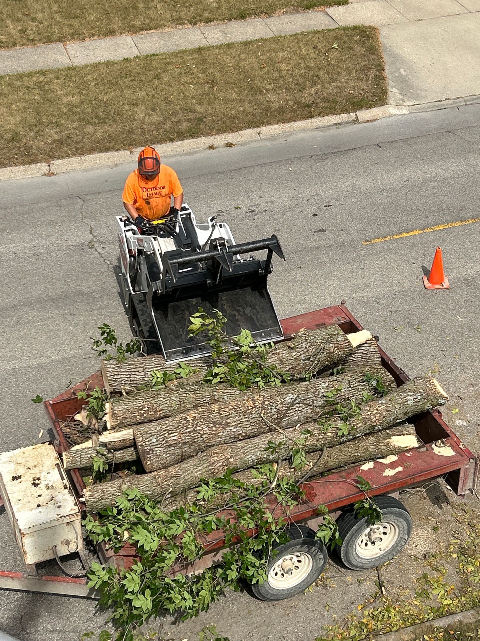 Worker in orange jacket operating a loader beside a truck carrying cut logs, with traffic cones nearby.