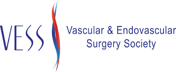 Vascular and Endovascular Surgery Society logo