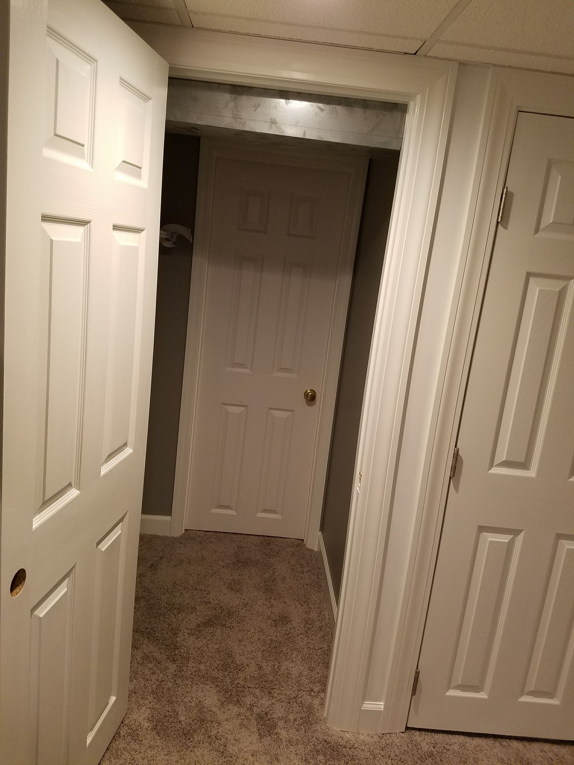 A hallway with two doors open and a carpeted floor.