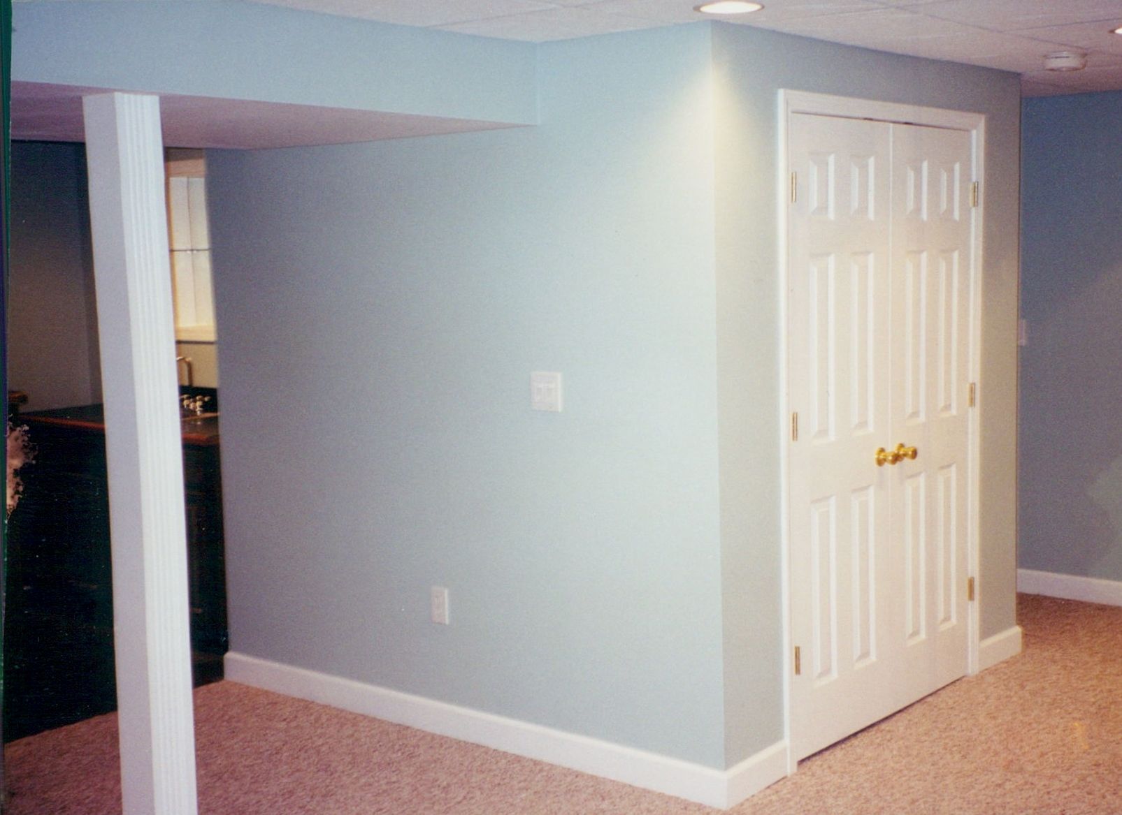 A closet in a basement with a white door